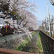余佐川の桜