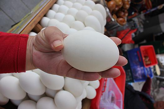 この大きさです！！