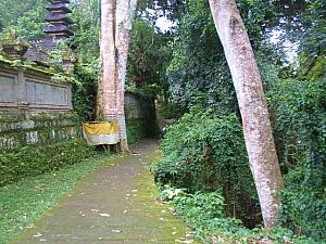 チャンプアンの散歩道をハイキング～！ ハイキング ジャランジャラン 散歩 チャンプアン グルン・ルバ寺院スバリ村