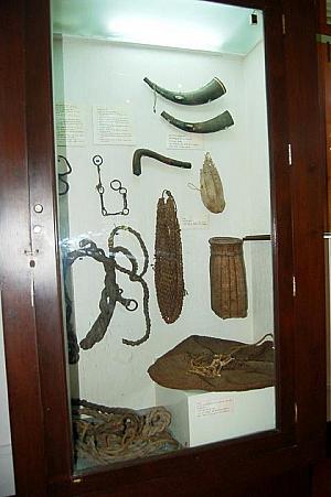 象を飼育するときに使用する道具の数々です。