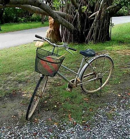 無料で借りられる自転車はこちら。