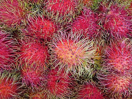 【果物バンサ～イ】：旬の果物：「マンゴスチン」「ドゥリアン」「ランブータン」 南国フルーツ プーケットフルーツ雨季果物
