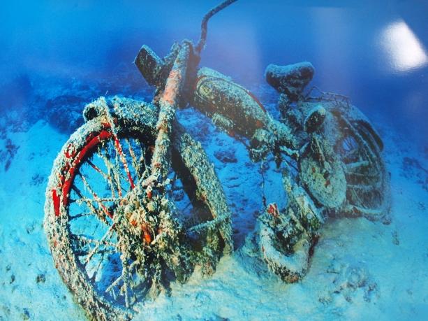 「THE OCEANS, THE ULTIMATE WASTE BIN」フランス領ポリネシアで海底に打ち捨てられたオートバイ。“海は究極のゴミ箱”言いえて妙です