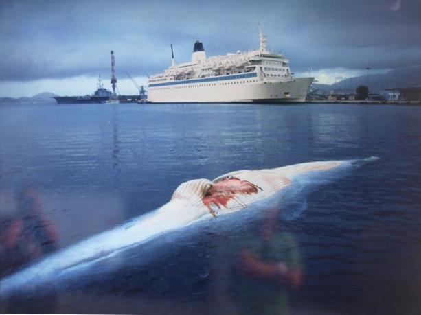 「THE SHOCK OF COEXISTENCE」海上輸送で船のスクリューで傷つけられ、打ち上げられた鯨。人類にとって欠かせない海上輸送。事故によるオイル漏れなどは様々な被害を引き起こします