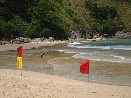赤い旗は遊泳禁止。赤＆黄色は遊泳可能エリア。