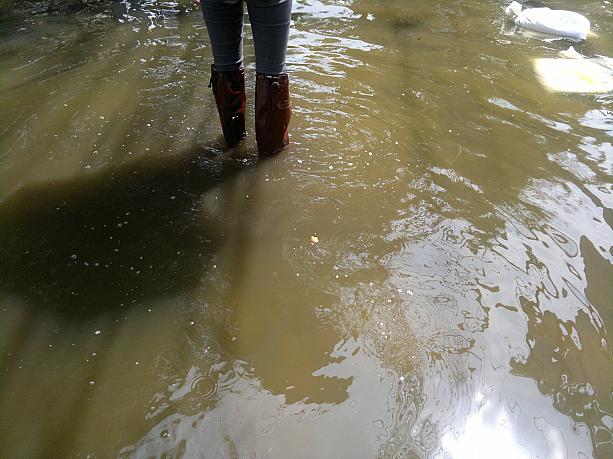 最近ではバンコクの一部が浸水したことから長靴を購入する人が増え、約3割の人が長靴を履いて歩いていました。