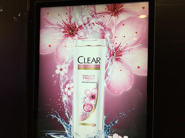 サクラ・フレッシュというう桜の香りのシャンプーの宣伝です。