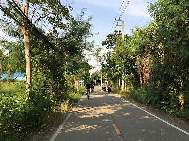 緑豊かな道を自転車でさっそうと走ります。風が涼しくて気持ちいいのは、乾季ならでは。土日なら、タイ人に人気のバーン・ナムプン水上マーケットも楽しめます。