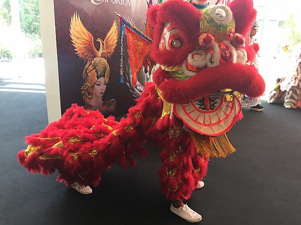 中国系のお祝いといえば、獅子舞は必須ですよね。