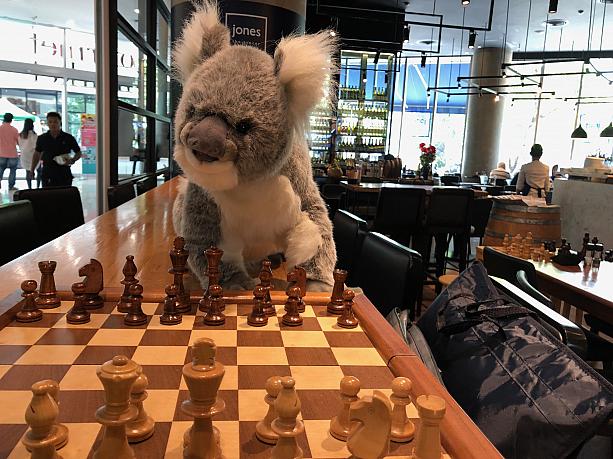 日本にはまだ上陸していない、オーストラリア発のカフェ。チェスするコアラがお出迎え。