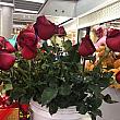 タイでは男性から女性にバラを贈るのが一般的なバレンタインデーです。