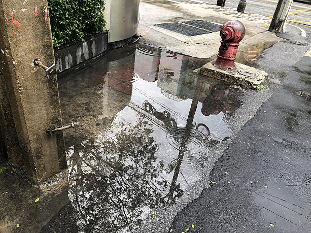 雨期真っ只中のタイ・バンコクですが、雨が上がっても道に水が残っていたりします。
