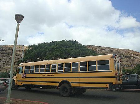 ■ハワイの交通事情 ワイキキトロリー タクシーザ・バス