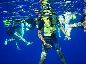 竜宮城ツアーに行ってきました♪ イルカ 海ガメ シュノーケル熱帯魚