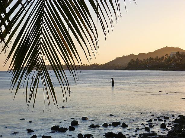 ふと立ち寄った名も知らないビーチで夕陽を堪能。そんなハワイ旅行の1ページ、思い出に残ること間違いナシです。（地元のロコらしいハワイアンボーイが海に入って釣りをしていましたヨ）