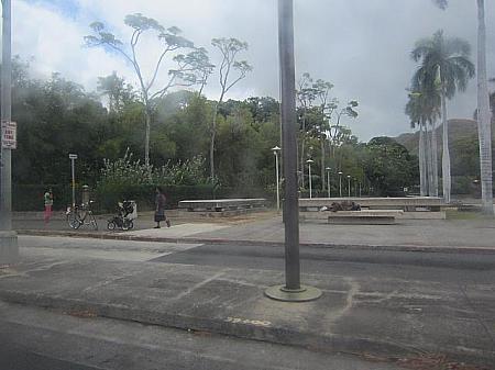 わかりにくい写真でスミマセン。ハワイ州庁舎前のバス停。道路の反対側に州庁舎があります。14:10。