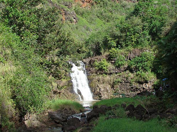 アメリカの人気テレビシリーズ『LOST』の撮影地にもなったワイメア・フォールズ。古代ハワイアンはこの水にヒーリングパワーがあると信じていました。水は渓谷の土壌に含まれる酸化鉄のため赤く濁っています。
