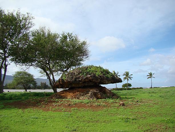 ハワイ語で、ポハクは「石」。ラナイは「征服の日」という意味を持つそうです。
