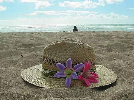 ハワイのビーチの楽しみ方！ ビーチ 海海水浴