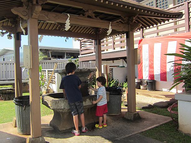 まずは手水舎（ちょうずや・てみずや）で手を洗いましょう。ロコの多くはお参りの前に手を洗ったり口をすすいで身を清める、という作法は知りません。なので手水舎へ向かうのは、日本人や、日本人の連れがいる方たちがほとんど。（この子たちはお母さんが日本人の模様）