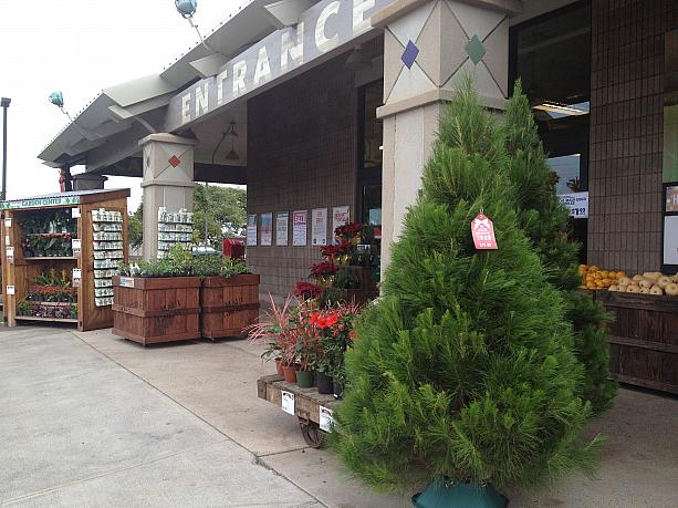 入口ではクリスマスツリーが販売されていました。サンクスギビングが終わると、スーパーやホームセンターでクリスマスツリーの販売が始まります。