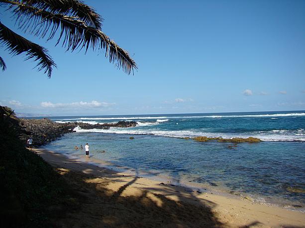 冬季に入ると、晴れている日と、曇りや雨の日との気温差が激しいハワイ。