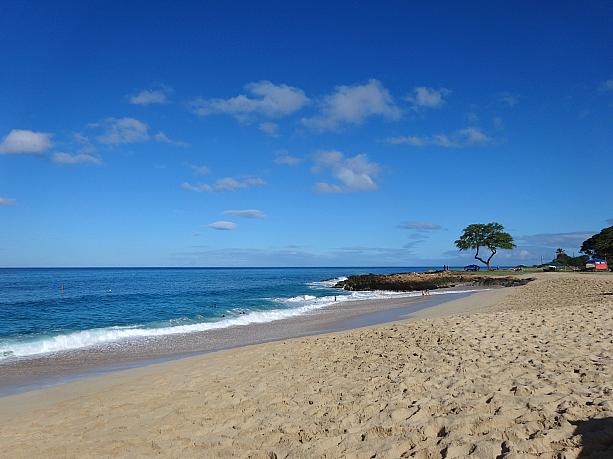 昔ながらのハワイらしさが残るエリアとも、やや危険なエリアともいわれます。ここはナナクリ・ビーチパーク。