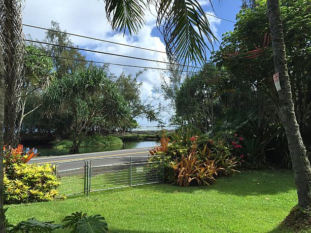こんなお庭があれば、観光にお出かけしなくても、椅子に座って1日の～んびり、ハワイの休日を楽しめそう。