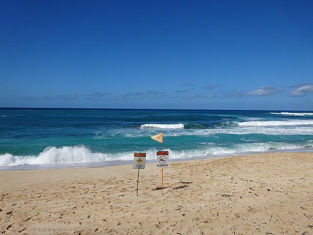 と思ったら、砂浜には「STRONG CURRENT（強い潮流・海流）」「NO SWIMMING（遊泳禁止）」のサインが。