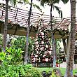 12月のハワイはすっかりクリスマス。こちらはワイキキ、ロイヤル・ハワイアン・センターのクリスマスツリー。