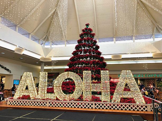 Happy Aloha Christmas! どうぞ皆さん、よいホリデーシーズンをお過ごしください！