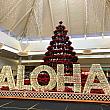 Happy Aloha Christmas! どうぞ皆さん、よいホリデーシーズンをお過ごしください！