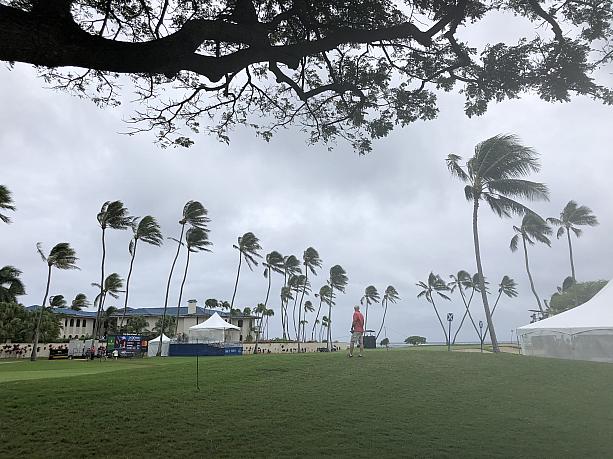 ハワイ1月の風物詩ともいえるソニーオープン・イン・ハワイが終わりました。今年は初日から最終日まであいにくの天気となってしまい、ほぼ曇りか、雨。