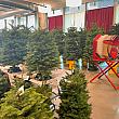 2階で目にした風景。クリスマスツリーと右端に和太鼓？ に一瞬見えましたが、ツリーのネット梱包機、ですよね。この時期ホームセンターや規模大きめのスーパーマーケット、またパーキング等に一時設置されたテント下で販売されるのが、生のモミの木。