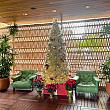 クリスマスが終わってもツリーやデコレーションが片付けられるのは1月に入ってから、がハワイでは多くて。地味に日本の、日本ふうのお正月飾りを施すホテル、モール、店舗も少なくないので、クリスマスと新年飾りが混在します。ワイキキのホテルで目にしたツリー。フェンスの向こうはプールです。