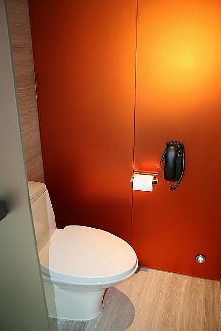 シャワー、トイレとも、中の設備はシンプルでも、機能的でスタイリッシュです。