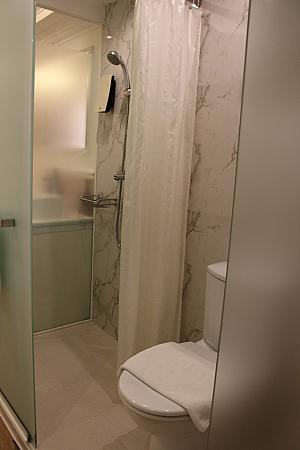摺りガラス式のバスルーム。トイレとシャワーはカーテンで分かれています。