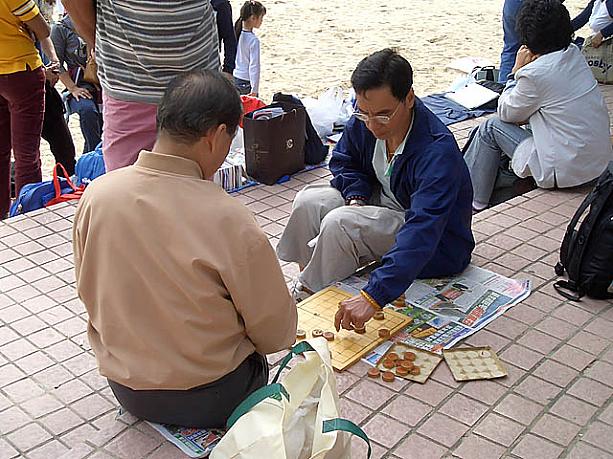 そんな自然に囲まれながらも、おじさんたちは中国将棋に夢中なのでした。