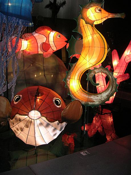 ランタンの飾りは、ここ香港文化中心露天広場と、西九龍海濱長廊で10月12日まで楽しむことができます。