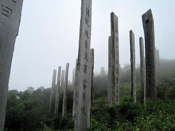 香港パワースポットを巡る　心経簡林（wisdom path） パワースポット ランタオ島 大仏郊外