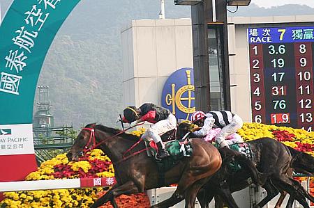 競馬の祭典、香港インターナショナルレース、観戦ガイド 競馬国際レースインターナショナル