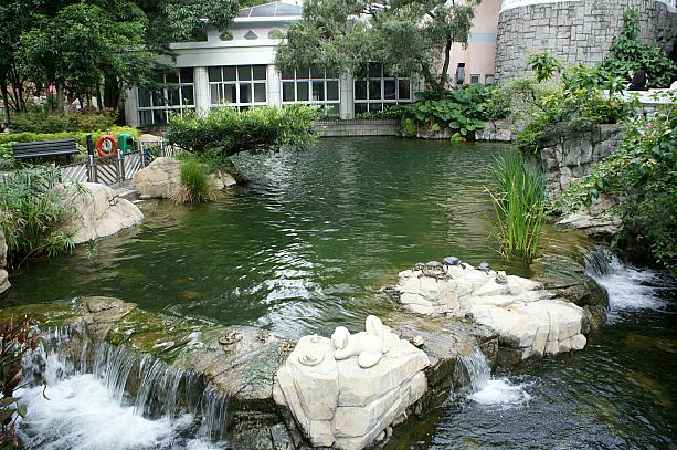 緑がいっぱいの香港公園の人工池は、市民の憩いの場になっています。