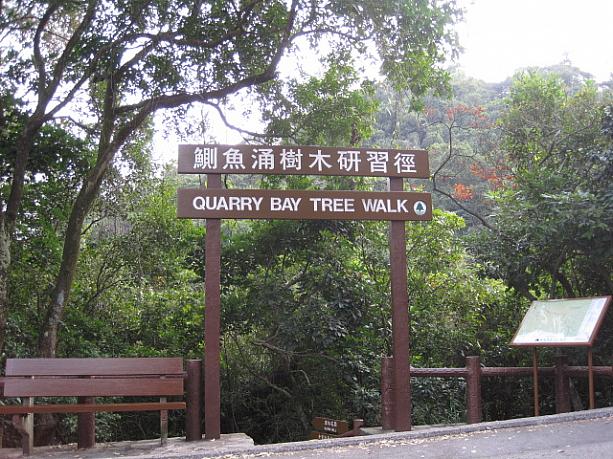 MTR港島線Quarry Bay駅から出発し、柏架山道、大潭道とハイキングコースを歩いてみました。