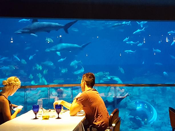 魚を見ながら食事ができる、ロマンチックなレストランもあるんですよ。