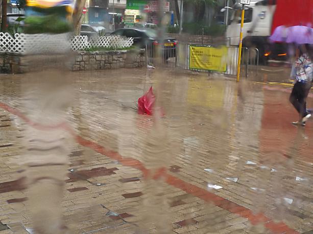 大風で壊れた傘が風の強さを物語っています。台風の日は安全な場所でおとなしくしてましょう。