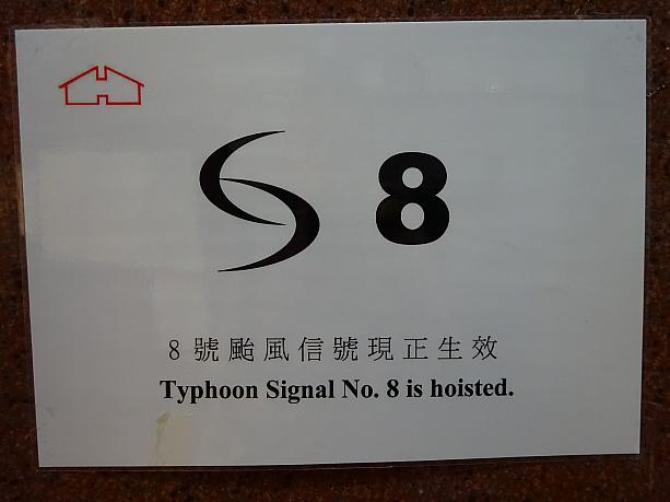 土曜の夜に台風シグナル1が出たので、もしや…と思ったら、案の定日曜は朝からシグナル8が発令。