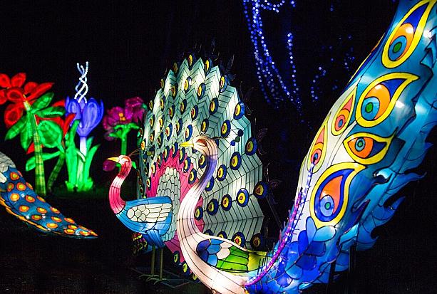 中国の正月をお祝いするマジカル・ランタン・フェスティバルがロンドン西部のChiswick House and Gardenで開催されます。