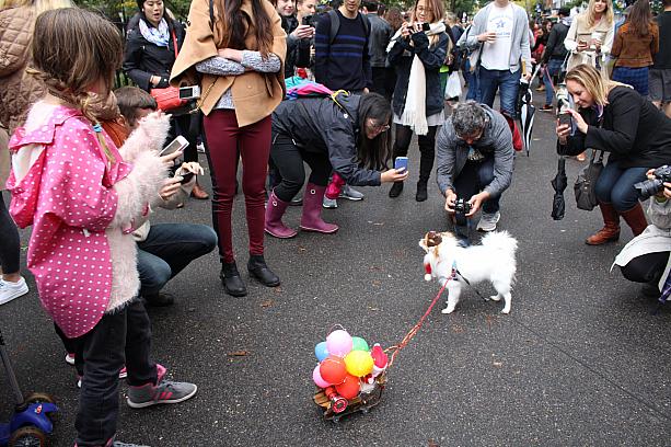 10月22日に開催された恒例のハロウィーンドッグパレードでは、