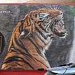 寅年にちなんで、チャイナタウンのストリートアートも虎が目立ちます。