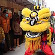 ニューヨークも獅子舞でお祝いです。太鼓の音、クラッカーの音ととても賑やか。<br>獅子舞は今やチャイナタウン以外のショッピングモールでも開催される人気イベントです。